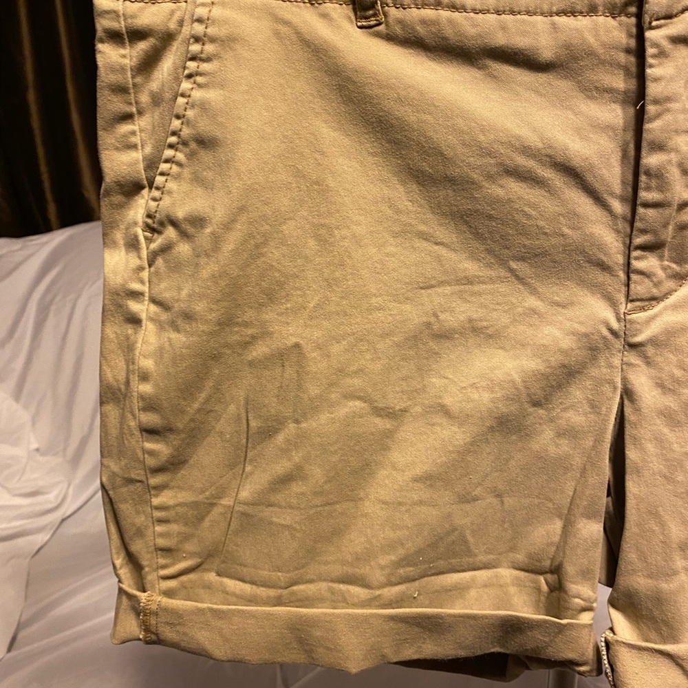 EUC Ashley Judd shorts. Size  16. - Picture 2 of 5